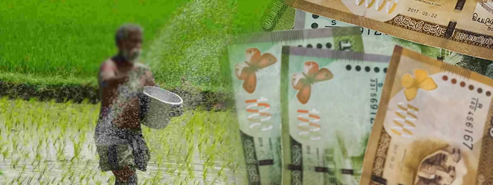 Government To Recover Misused Fertilizer Subsidies